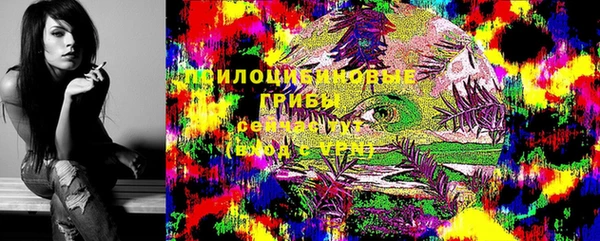 дурь Алексеевка