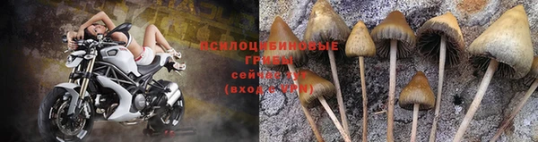 ALPHA PVP Алексин