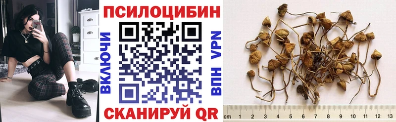 MEGA ссылка  Нижняя Салда  shop наркотические препараты  Псилоцибиновые грибы прущие грибы 